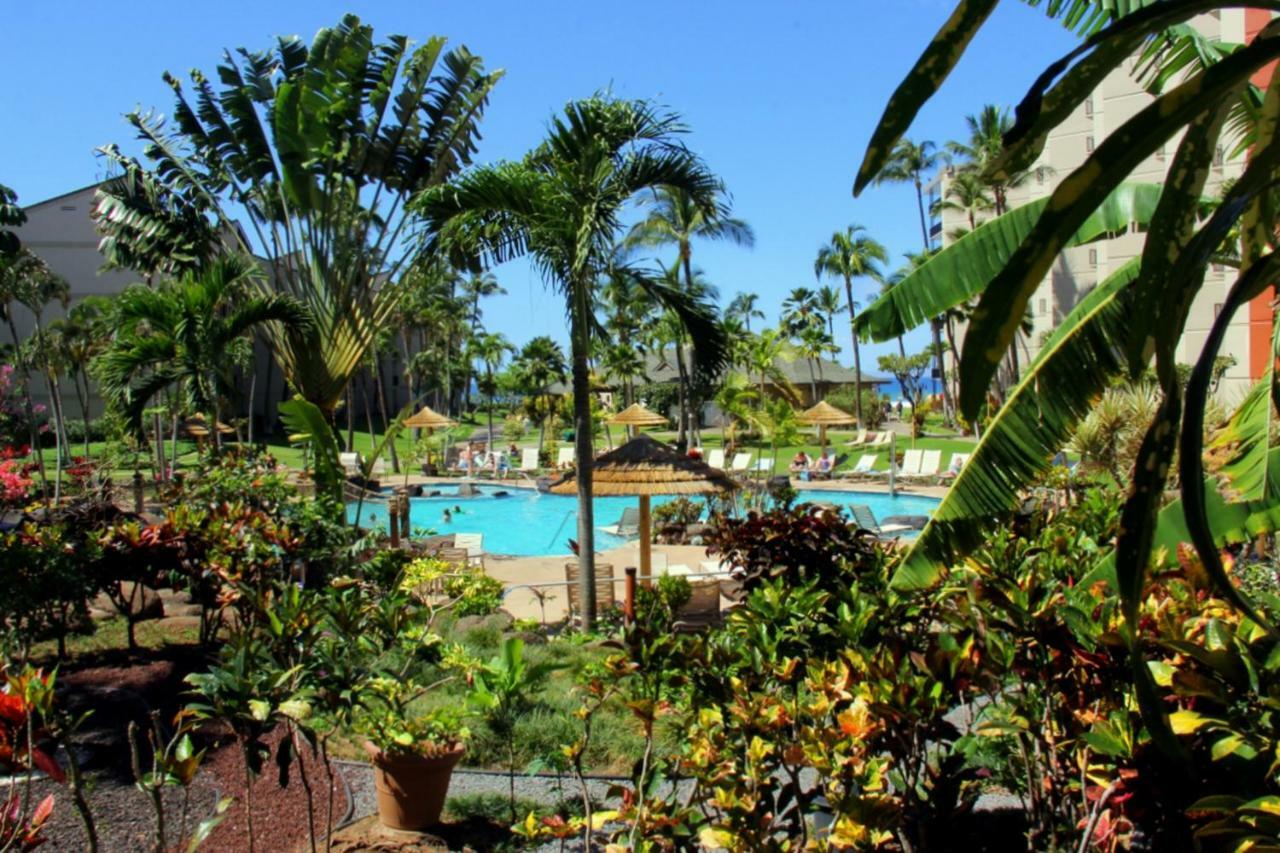 Kaanapali Shores 647 Exterior foto